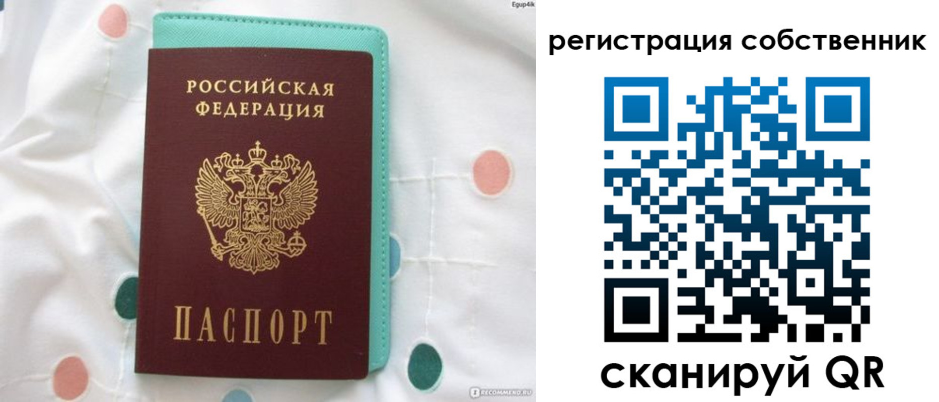 прописка для школы в Фрязино